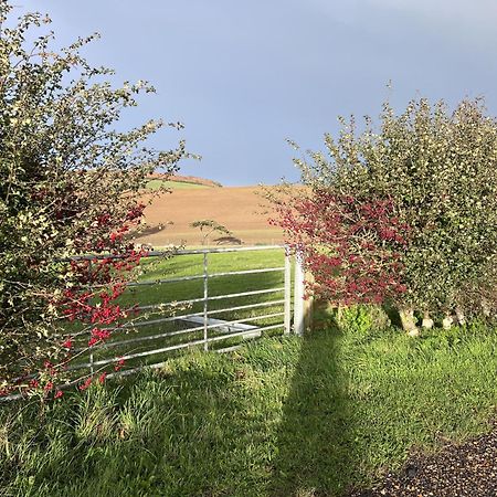 Poachers Hut - Captivating 1-Bed Cottage Shorwell Extérieur photo