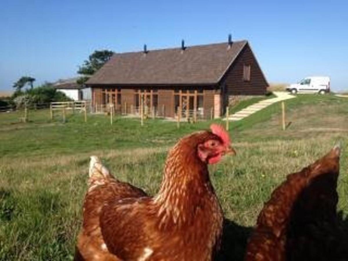 Poachers Hut - Captivating 1-Bed Cottage Shorwell Extérieur photo