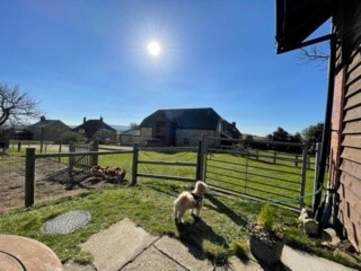 Poachers Hut - Captivating 1-Bed Cottage Shorwell Extérieur photo