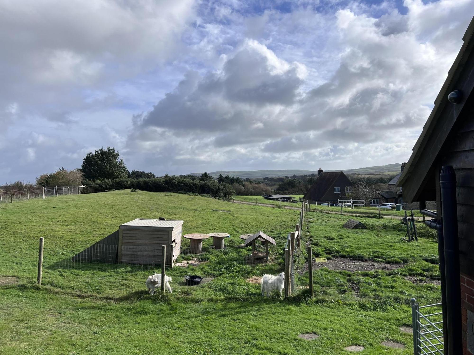 Poachers Hut - Captivating 1-Bed Cottage Shorwell Extérieur photo